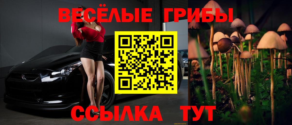 Галлюциногенные грибы прущие грибы  Вход с VPN  что такое   Галлюциногенные грибы Cubensis  Тюмень 
