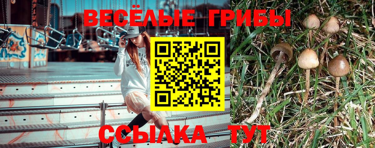 Псилоцибиновые грибы прущие грибы Тюмень